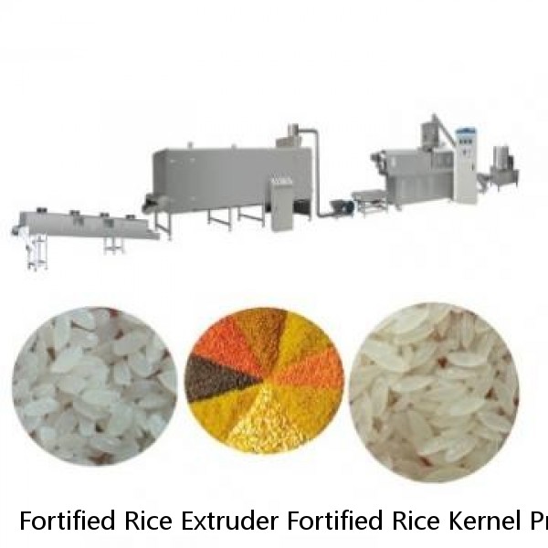 Fortified Rice Extruder Fortified Rice Kernel Production Line Artificial Rice Extruder Making Machine