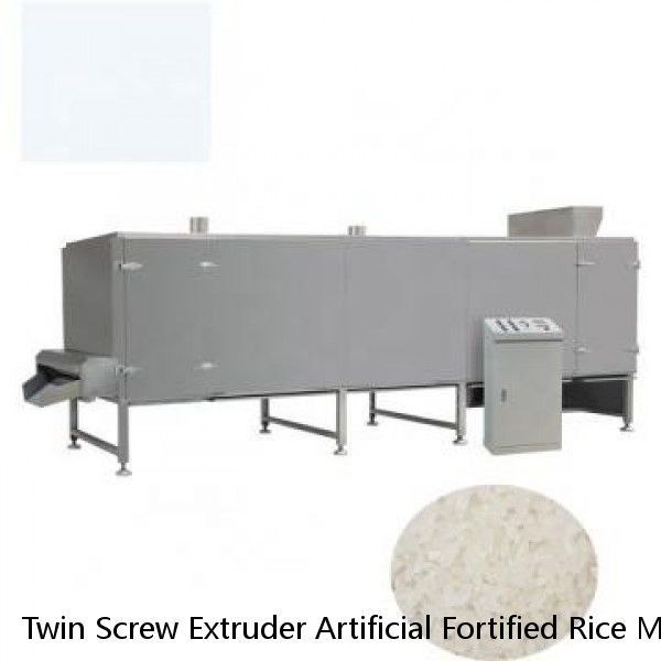 Twin Screw Extruder Artificial Fortified Rice Making Processing Machine