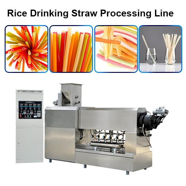 Rice Drinking Straw Making Extruder Machine / Sustainable Eco Friendly Products Processing ...