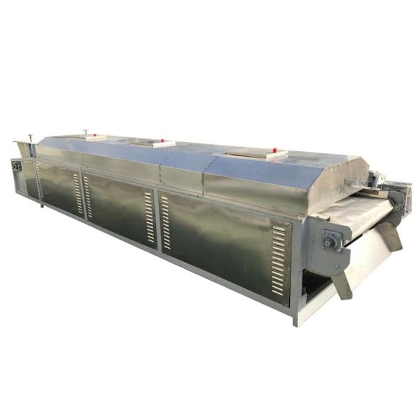 Continuous Tunnel Conveyor Belt Microwave Dryer Commercial Fruit Drying Machine