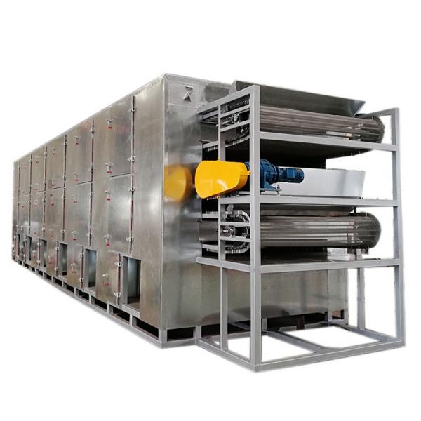 Continuous Tunnel Conveyor Belt Microwave Dryer Commercial Fruit Drying Machine