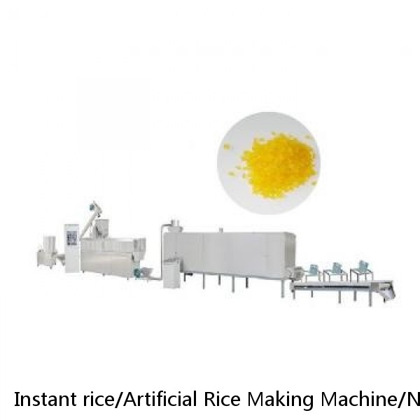 Instant rice/Artificial Rice Making Machine/Nutritional Rice Extruder Machine