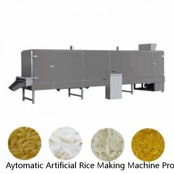 Aytomatic Artificial Rice Making Machine Processing Line