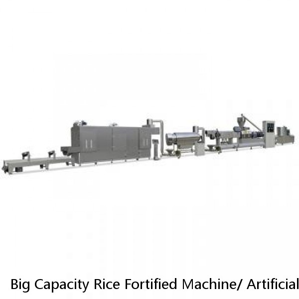 Big Capacity Rice Fortified Machine/ Artificial Nutrition Rice Making Machine Extruder/ Reconstituted Rice Processing Line
